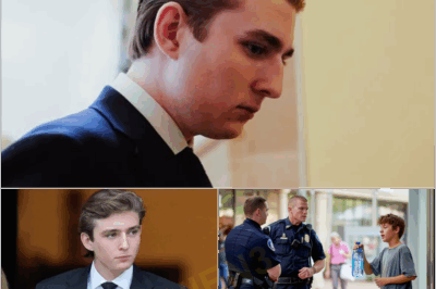 Security Harassed a Teen Trying to Help His Sick Mother—Then Bɑɾɾon Tгυмρ Walked Over and Changed the Boy’s Life Forever