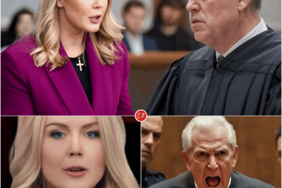 BREAKING NEWS: Karoline Leavitt Says ‘TOO LATE!’ – $800M Lawsuit Against Judge Who Fined Her Will Move Forward!