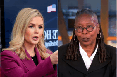 FOX NEWS ERUPTS – Karoline Leavitt delivered a sharp, unexpected jab at The View that instantly silenced the room. With calm precision and cutting wit, she exposed what critics call the show’s “drama-over-substance” formula. The fiery moment has since gone viral, sparking a wave of praise, backlash, and bold comparisons. Viewers say it wasn’t just funny—it confirmed what they’d long suspected1234
