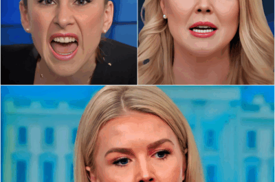 BREAKING NEWS: She Mocks God on The View — Then Karoline Leavitt Teaches Her a Costly Lesson