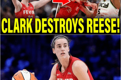 Caitlin Clark PUTS Angel Reese IN HER PLACE As Indiana Fever DESTROY Chicago Sky!