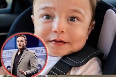 Elon Musk is often regarded as one of the most innovative and ambitious entrepreneurs of our time. With a vision of shaping the future, Musk has founded and led several groundbreaking companies, including Tesla, SpaceX, and Neuralink. Born in 1971 in Pretoria, South Africa, Musk showed an early interest in technology and engineering. After moving to the United States to attend the University of Pennsylvania, Musk began his entrepreneurial journey by founding Zip2, an online business directory.