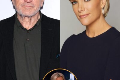 Robert De Niro’s Statement STUNS the Entire Studio After Megyn Kelly Calls Him ‘Extremely Stupid’—His 8-Word Reply Leaves Everyone in Silence When Megyn Kelly took a sharp jab at Robert De Niro on live TV, no one expected him to respond—let alone with just eight words that turned the entire studio ice-cold. But that’s exactly what happened. De Niro’s comeback was swift, cutting, and left both critics and fans reeling. What did he say that shut down the room and flipped the spotlight back on Kelly? The tension didn’t end there—what followed was even more explosive.