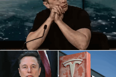 BREAKING NEWS: Elon Musk’s DEVASTATING announcement leaves SpaceX employees in tears! ‘I beg you…’ Fans form emergency prayer circles as he reveals the UNTHINKABLE… Is this the END? You WON’T BELIEVE what he’s hiding…123