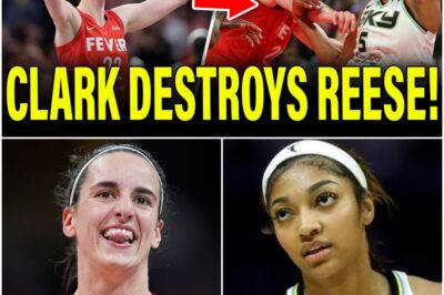 Caitlin Clark PUTS Angel Reese IN HER PLACE As Indiana Fever DESTROY Chicago Sky!