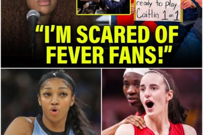 Angel Reese & Her Fans CAUGHT LYING To ATTACK Caitlin Clark & Indiana Fever!