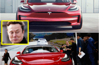 BREAKING: Tesla Model 2 Unveiled at $10,179 — Elon Musk’s Most Accessible EV Redefines the Global Car Market