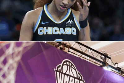 JUST IN: WNBA Breaks Silence on Alleged Racist Incident at Sky–Fever Game — But Their Final Ruling Leaves Fans Furious After days of speculation and outrage, the league has spoken. But instead of closure, their decision has only raised more questions — and fans are demanding answers. What really happened that night?