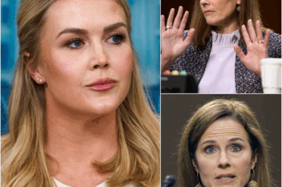 Unbelievable! She’s not just stunning—she’s a LEGAL GENIUS!”