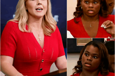 Karoline Leavitt Just Humiliated a Reporter Over the LA Riot Lies — And the Room Hasn’t Recovered Since