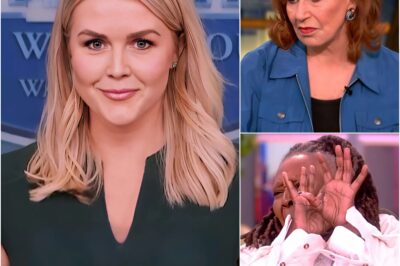 FOX NEWS ERUPTS: Karoline Leavitt Drops Brutal Bombshell on The View—One Line Shut Down the Entire Studio