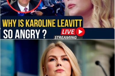She shared it. And within hours, one of ABC News’ most respected voices was off the air — indefinitely.