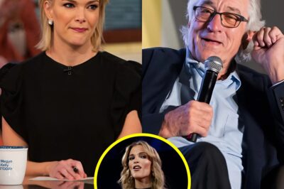 ON-AIR STANDOFF: Robert De Niro’s Ice-Cold Response Leaves Megyn Kelly Speechless — “I Don’t Care What You Think”