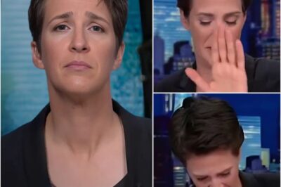The Night Rachel Maddow Broke Down: When News Became Too Human to Read And Why That Silence Still Screams in 2025