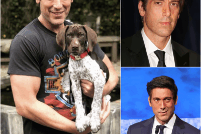 ABC SHOCKER: The Quiet Bombshell That Rocked America’s Most Trusted Newsroom—And Left David Muir at a Crossroads – News