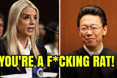 BREAKING: Arrogant Judge MOCKS Pam Bondi in Courtroom Showdown — Seconds Later, He Realizes He Just Made the Worst Mistake of His Career He thought his robe would protect him. He thought she’d fold. But when Bondi calmly slid a sealed folder across the table… the room went cold. What happened next left even federal agents stunned.