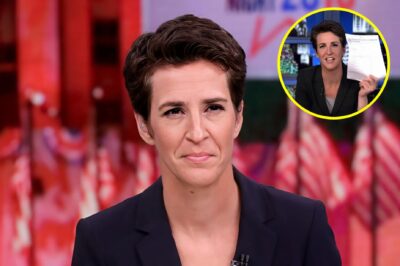 Rachel Maddow Mocked Over “Doomsday” Meltdown on Live TV — Viewers Beg: “Sit Down, Rachel”