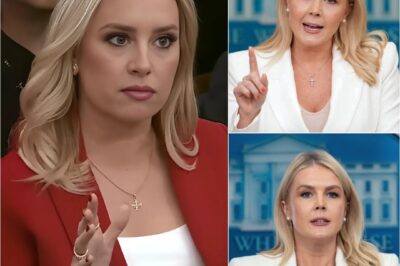 WHEN EVEN JACKIE HEINRICH FROM FOX NEWS COULDN’T TOLERATE THE BARE-FACED LIES ANY LONGER — SHE PUSHED BACK, AND KAROLINE LEAVITT LOST CONTROL ON LIVE TELEVISION