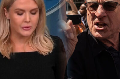 📰 “Sit Down, Kid.” — Robert De Niro Silences Karoline Leavitt in Fiery TV Showdown That Left Viewers Stunned.C4