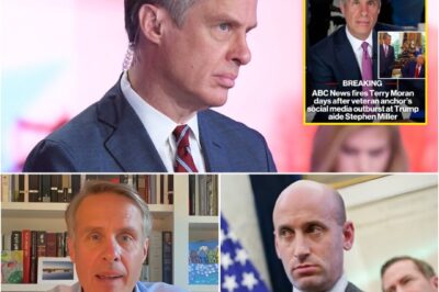 BREAKING: “I WILL GET REVENGE.” — TERRY MORAN, FIRED FROM ABC, GETS A NEW JOB IN JUST 24 HOURS. NOW HE’S BREAKING THE SILENCE—AND IT’S GOING TO HURT.C4