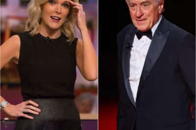 BREAKING: Robert De Niro Silences Megyn Kelly Live On Air With Eight Chilling Words—Fans Say They’ve Never Seen Her So Speechless.C4