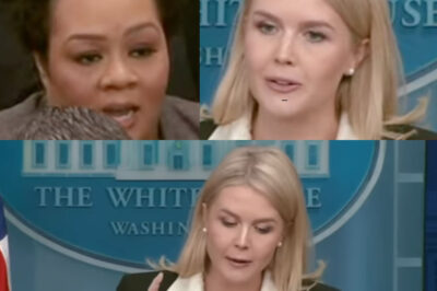 “That’s a Ridiculous Line of Questioning”: When Karoline Leavitt Tried to Spin—and Got Outmatched by the Facts.C4