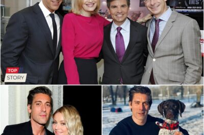 Fans Stunned as David Muir’s Private Heartbreak and Unimaginable Struggle Come to Light—Bold Confession Changes Everything, Leaving Viewers Speechless.C4
