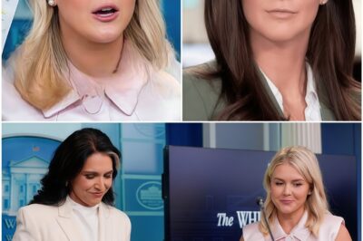 Karoline Leavitt SHREDS CNN’s Kaitlan Collins for Smearing Tulsi Gabbard: “This Is What Desperation Looks Like”