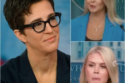 “How Could You Be So Stupid?” — Rachel Maddow Shuts Down Karoline Leavitt After False On-Air Claim Sparks Instant Backlash