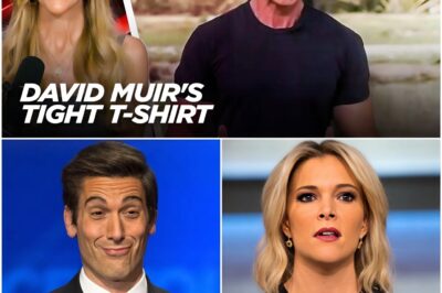 David Muir has finally broken his silence — after being publicly mocked by Megyn Kelly for wearing a fitted t-shirt while reporting from the Texas flood disaster.
