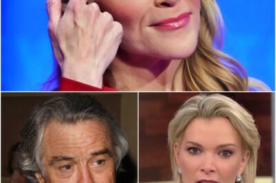 UNBELIEVABLE: The Entire Studio Froze as Megyn Kelly to Call Robert De Niro a ‘Washed-Up Name’ — And with Just 5 Words, He Left Robert De Niro Speechless on Live Broadcast!