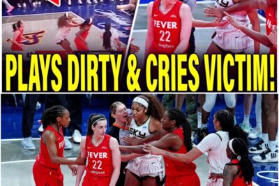 BREAKING NEWS: WNBA RELEASED STATEMENT CONFIRMING INVESTIGATION INTO FEVER VS SKY GAME FOR RACIAL ATTACKS! They called it a rivalry.