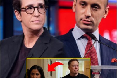 “You Can Dodge the Questions, But You Can’t Outrun the Timeline.” — Rachel Maddow’s Relentless On-Air Interrogation Left Stephen Miller Cornered, Speechless, and Exposed