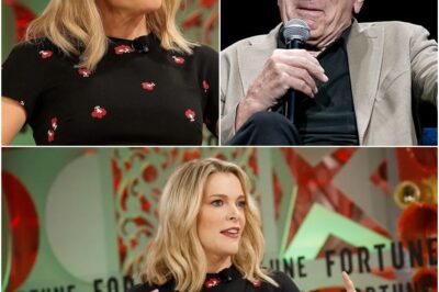 BREAKING: Robert De Niro Silences Megyn Kelly Live On Air With Eight Chilling Words—Fans Say They’ve Never Seen Her So Speechless.