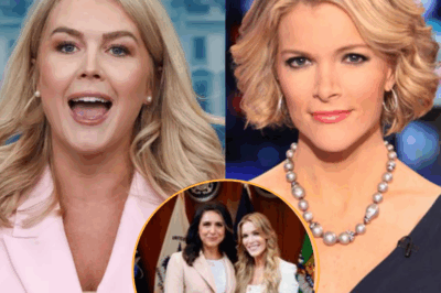 Karoline Leavitt Just BANKRUPTED The View — And Megyn Kelly’s 8-Word Response Left the Industry Shaken What started as one reckless joke turned into a full-blown legal reckoning. Karoline Leavitt didn’t flinch—she brought the fire. The View didn’t apologize—they panicked. But the real twist? Megyn Kelly stepped in. Not to comment. To back her. And with just 8 words, she delivered a blow so sharp, it sent shockwaves across the entire media landscape. Viewers are calling it: “The rise of the most fearless media alliance in years.” Now, The View may be out of time—And a new power shift in media may have already begun