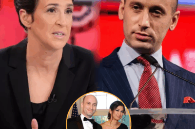 Cornered on Live TV: Rachel Maddow Shreds Stephen Miller With One Relentless Line