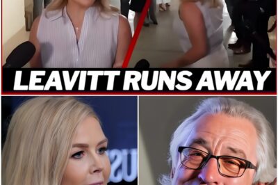 “Sit down, Barbie—you’re not fit to be a role model for troubled high schoolers, let alone for America.” Karoline Leavitt Goes After Robert De Niro On Live TV — But One Calm Sentence Flips the Entire Room Against Her.C4