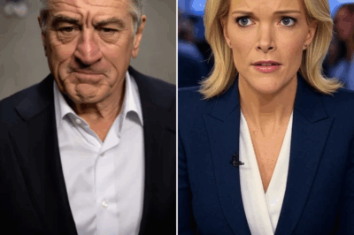 “YOU DON’T GET TO DECIDE WHO I AM.” — Robert De Niro STOPS Megyn Kelly Cold With Eight Words That Changed the Room, the Ratings, and the Rules
