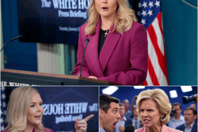 BREAKING: Karoline Leavitt Shuts Down Reporter Over L.A. Riot “Lies”—Studio Left Stunned  What started as a tense exchange turned into a live televised takedown when Karoline Leavitt called out false claims about the LA riots—on the spot. With icy calm and laser-precise facts, Leavitt dismantled the reporter’s narrative line by line. When the reporter tried to shift gears? She hit back even harder. The final blow? So sharp, the room went completely silent. What exactly did she say that turned the interview upside down in seconds?