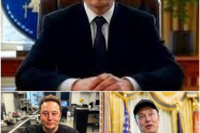 A simple apology boosts Elon Musk’s net worth by $191,000,000, pushing it to an incredible $411,400,000,000. The full details inside!