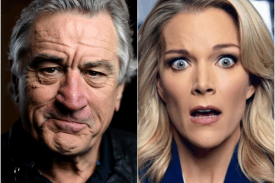 “I Don’t Care What You Think of Me” Robert De Niro Disarms Megyn Kelly with Eight Words That Redefined Silence on Live TelevisionThe moment didn’t explode.