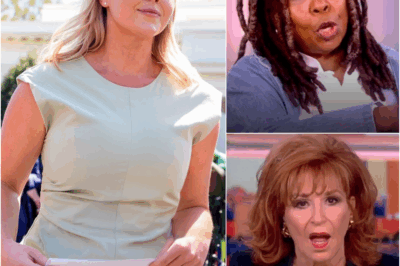 “She’s a 10? then why did she stare the room silent?” After The View Mocked Her Looks, Karoline Leavitt Didn’t Clap Back — She Walked Back Into the Briefing Room and Changed the Energy Without Saying a Word. What Happened Next Wasn’t Viral. It Was Quiet. And It Was Devastating.