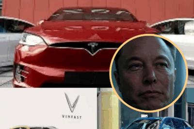 Está Tesla en problemas con el fin del crédito fiscal de $7,500 para autos eléctricos