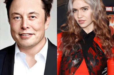 Why did the world’s richest billionaire Elon Musk divorce his third wife