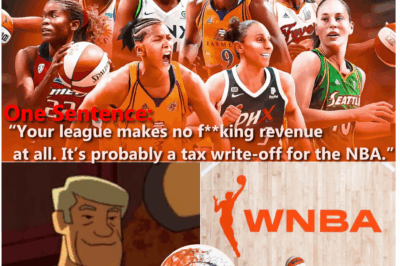  One Sentence Just Set the WNBA on Fire — And It Could Collapse the Whole League — After Just 11 Words.