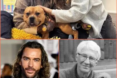 Fans were left stunned last night as Pete Wicks, once known as TOWIE’s rebellious bad boy, was officially unveiled as the new face of a primetime TV show