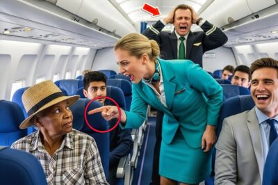 They Expelled the “Humble Farmer” from First Class… Until Her Phone Lit the Cabin