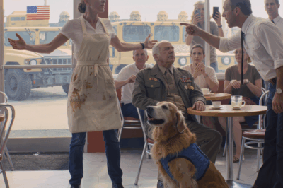 She Was Fired for Helping a Veteran’s Dog! Minutes Later, Marines Stormed the Café
