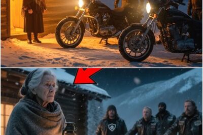 Elderly Widow Shelters 20 Freezing Bikers, Next Morning 1000 Hells Angels Stops Outside Her Door
